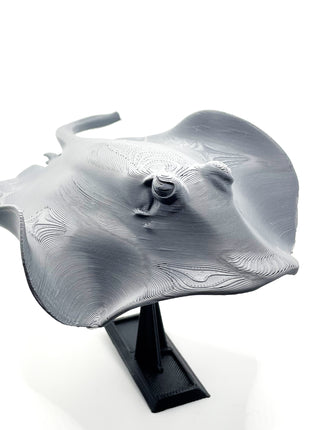3d Printed Manta Ray