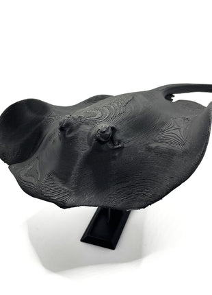 3d Printed Manta Ray