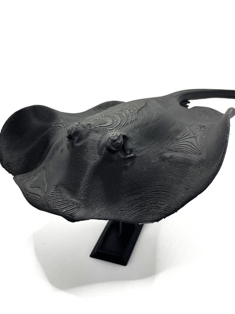 3d Printed Manta Ray