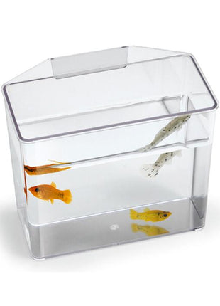 Lee's Break Resistant Specimen Container - Aquatica Aquarium Gallery Fish Store Cleveland Ohio