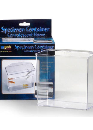 Lee's Specimen Container, Large - Aquatica Aquarium Gallery Fish Store Cleveland Ohio