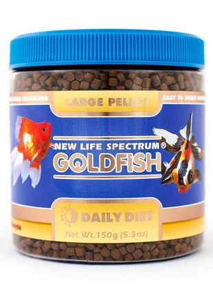 Goldfish (Naturox) - Aquatica Aquarium Gallery Fish Store Cleveland Ohio