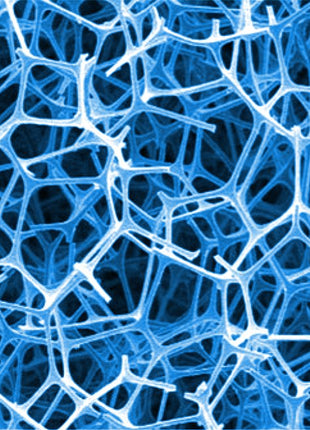 Seachem DuoPad - Aquatica Aquarium Gallery Fish Store Cleveland Ohio