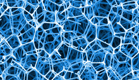 Seachem Algae Pads - Aquatica Aquarium Gallery Fish Store Cleveland Ohio