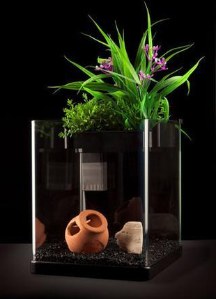 Aquatop Nanoponic Aquarium System - Aquatica Aquarium Gallery Fish Store Cleveland Ohio