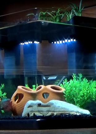 Aquatop Nanoponic Aquarium System - Aquatica Aquarium Gallery Fish Store Cleveland Ohio