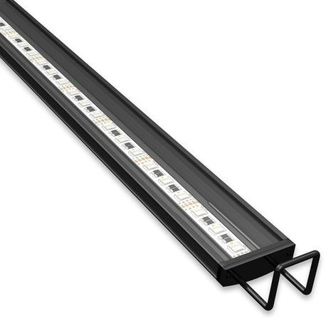 Reno Freshwater LED Strip Light - Aquatica Aquarium Gallery Fish Store Cleveland Ohio