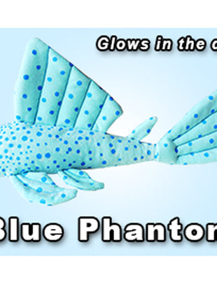 GreenPleco Blue Phantom - Aquatica Aquarium Gallery Fish Store Cleveland Ohio