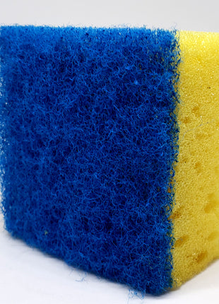 Blue & Yellow Square Scrubber Sponge - Aquatica Aquarium Gallery Fish Store Cleveland Ohio