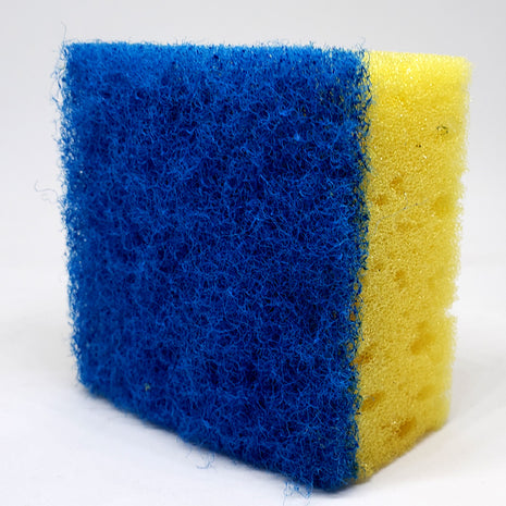 Blue & Yellow Square Scrubber Sponge - Aquatica Aquarium Gallery Fish Store Cleveland Ohio