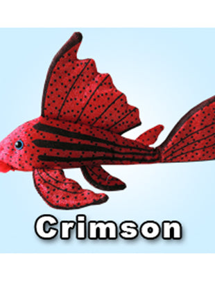 GreenPleco Crimson - Aquatica Aquarium Gallery Fish Store Cleveland Ohio