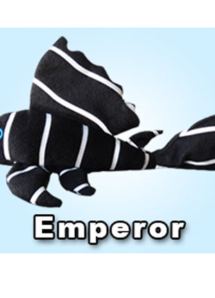 GreenPleco Emperor - Aquatica Aquarium Gallery Fish Store Cleveland Ohio