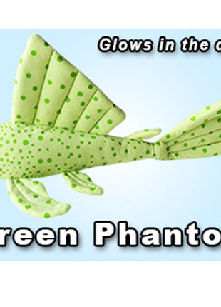 GreenPleco Green Phantom - Aquatica Aquarium Gallery Fish Store Cleveland Ohio