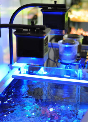 Aquatic Life HALO Pendant LED - Marine - Aquatica Aquarium Gallery Fish Store Cleveland Ohio