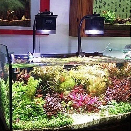 Aquatic Life HALO Pendant LED - Freshwater - Aquatica Aquarium Gallery Fish Store Cleveland Ohio