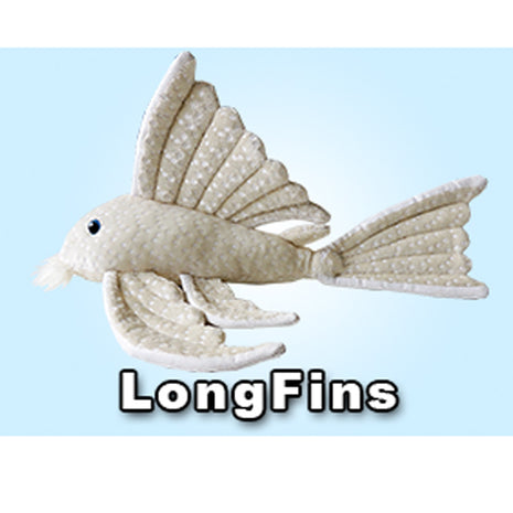 GreenPleco Longfins - Aquatica Aquarium Gallery Fish Store Cleveland Ohio