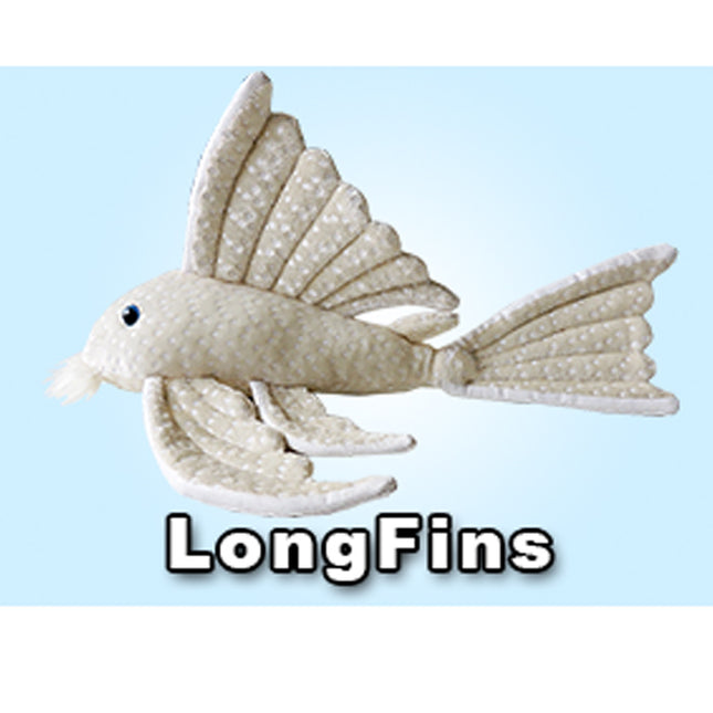 GreenPleco Longfins - Aquatica Aquarium Gallery Fish Store Cleveland Ohio