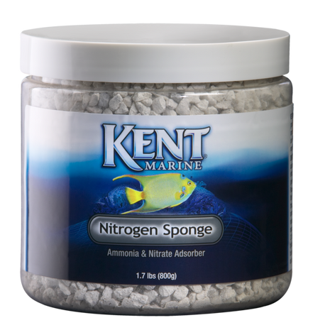 Kent Marine Nitrogen Sponge - Aquatica Aquarium Gallery Fish Store Cleveland Ohio