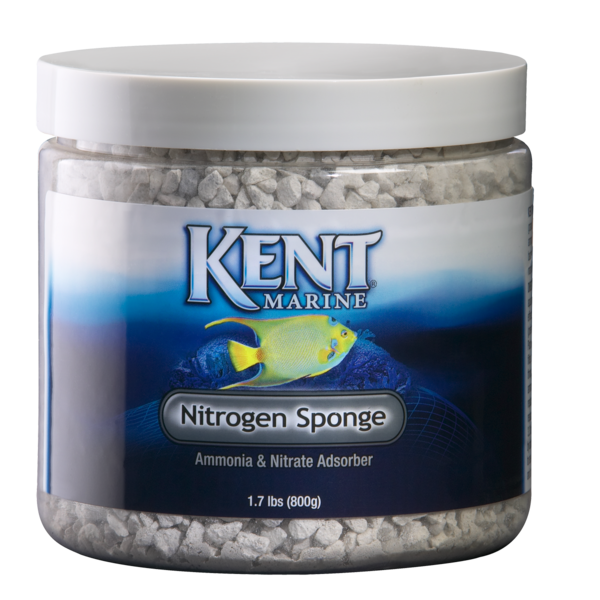 Kent Marine Nitrogen Sponge - Aquatica Aquarium Gallery Fish Store Cleveland Ohio