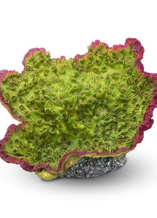Aquatop Premium Coral Decoration - Aquatica Aquarium Gallery Fish Store Cleveland Ohio