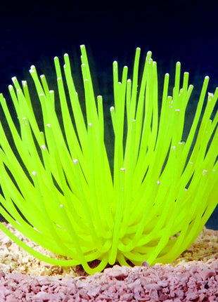 Artificial Anemone Decoration 100% Aquarium Safe - Aquatica Aquarium Gallery Fish Store Cleveland Ohio
